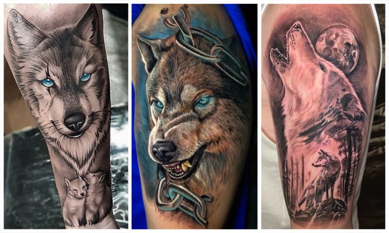 Как выбрать эскиз тату на руку в виде волка?
