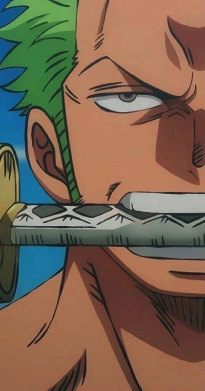 One Piece Зоро 10