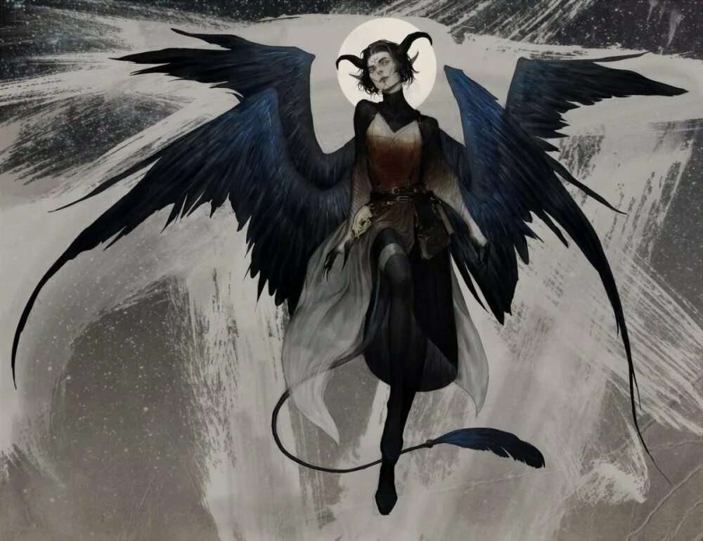 Ангел с черными крыльями арт 4