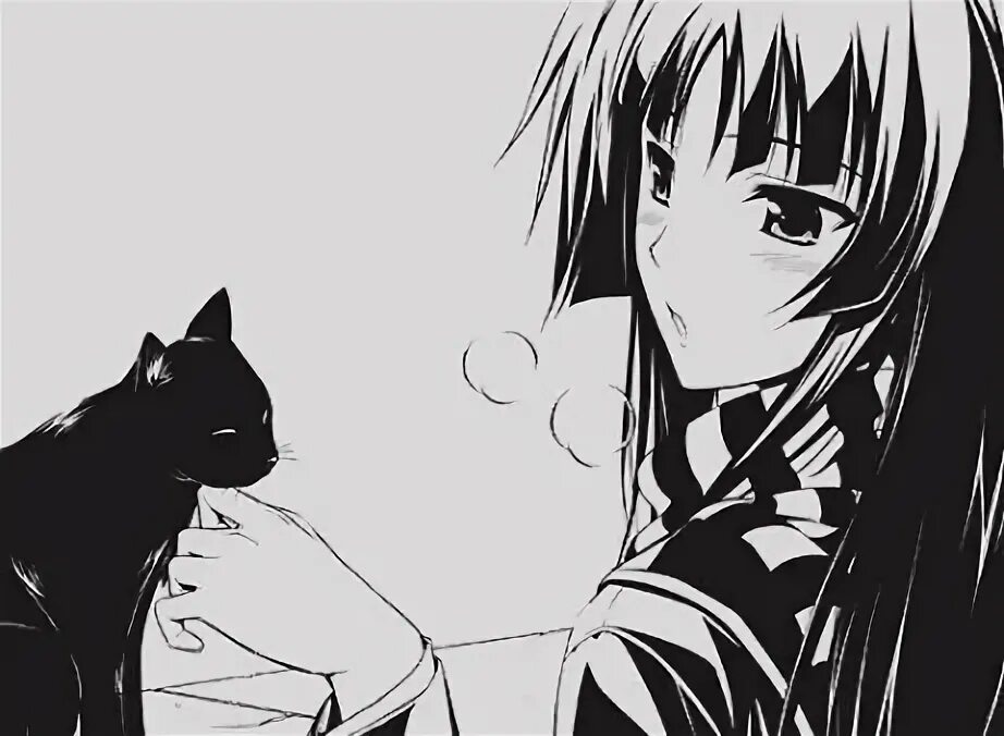 Аниме девушка с черным котом 2