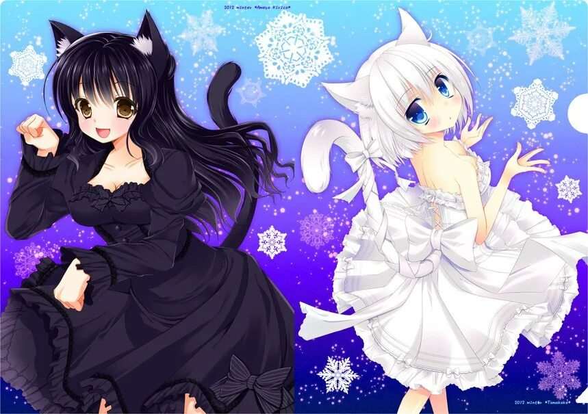 Аниме девушка с черным котом 21