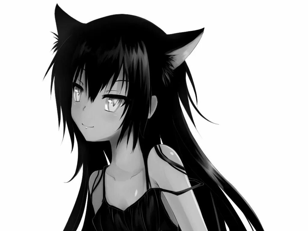 Аниме девушка с черным котом 22