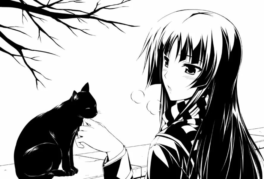 Аниме девушка с черным котом 5
